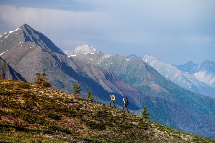Explore the Wild: Why the Ambler Road Expedition Will Change Your Perspective on Nature
